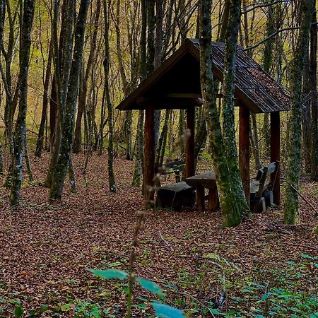 Domacinstvo Una-Ostrovica Kulen Vakuf Esterno foto